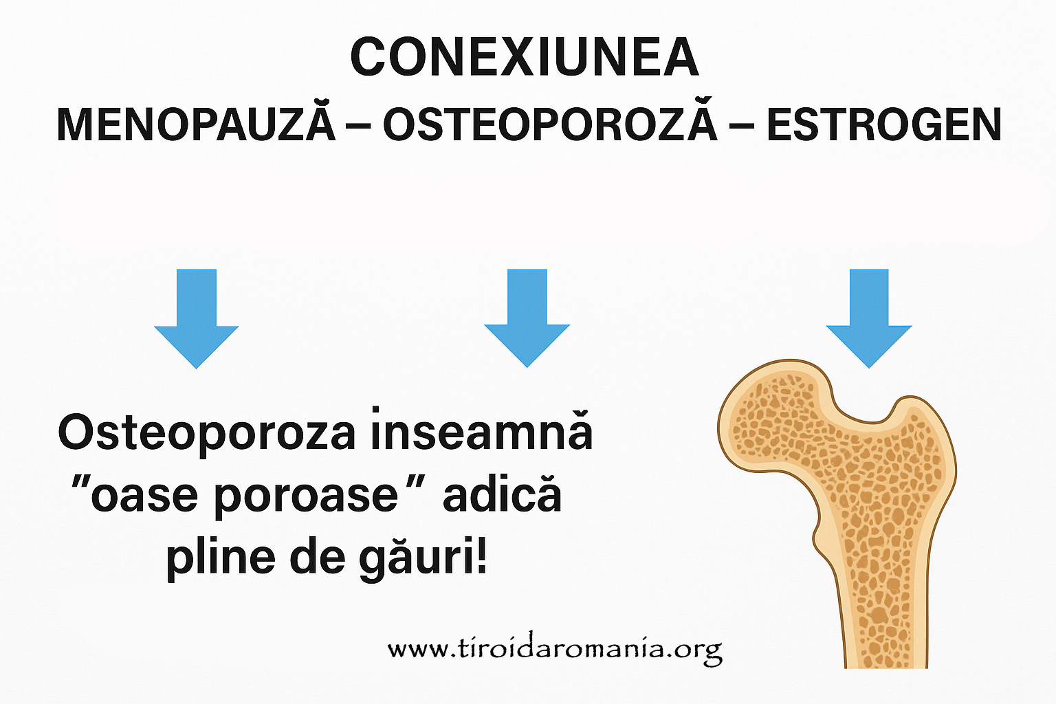 MENOPAUZA-OSTEOPOROZA-ESTROGEN